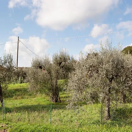 Apartment In Monte Del Lago Near Lake Trasimeno Hébergement de vacances