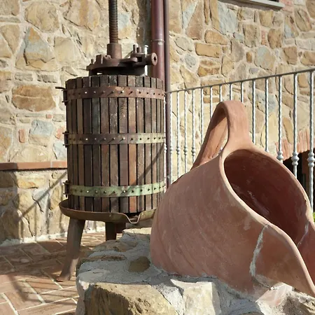 In Monte Del Near Trasimeno * Monte del Lago